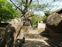 -贮水山儿童公园