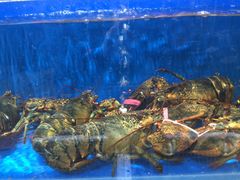 -神洲四海大酒楼(王府井澳门中心店)