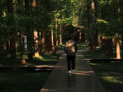 -黄海国家森林公园