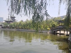 -迎泽公园