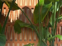 -云阿蛮云南生烫牛肉米线(奉贤路店)