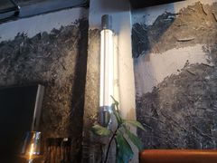 -Cooking Man(中懋天地店)