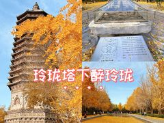 -玲珑塔公园
