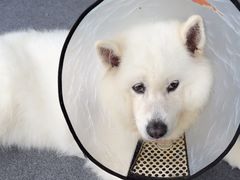 -中国体育彩票(竞彩店)