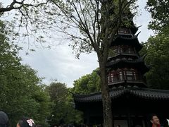 -上海佘山国家森林公园西佘山园