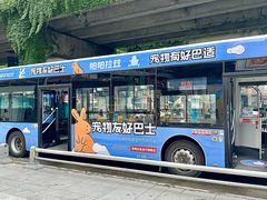 -帕帕拉兹宠物(亚洲旗舰店)