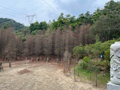 -广州市帽峰山景区
