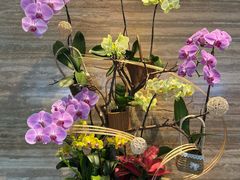 -广州白天鹅宾馆