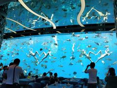 -瑞德姆美人鱼海底演艺主题餐厅(亚龙湾店)