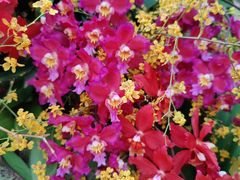 -北京植物园-展览温室