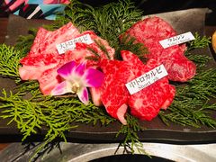 -松阪牛焼肉M(法善寺横丁店)
