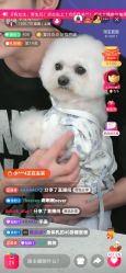 -刘娟美甲沙龙
