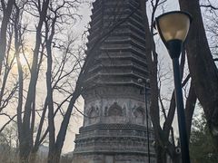 -玲珑塔公园