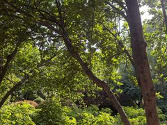 -洛阳市隋唐城遗址植物园