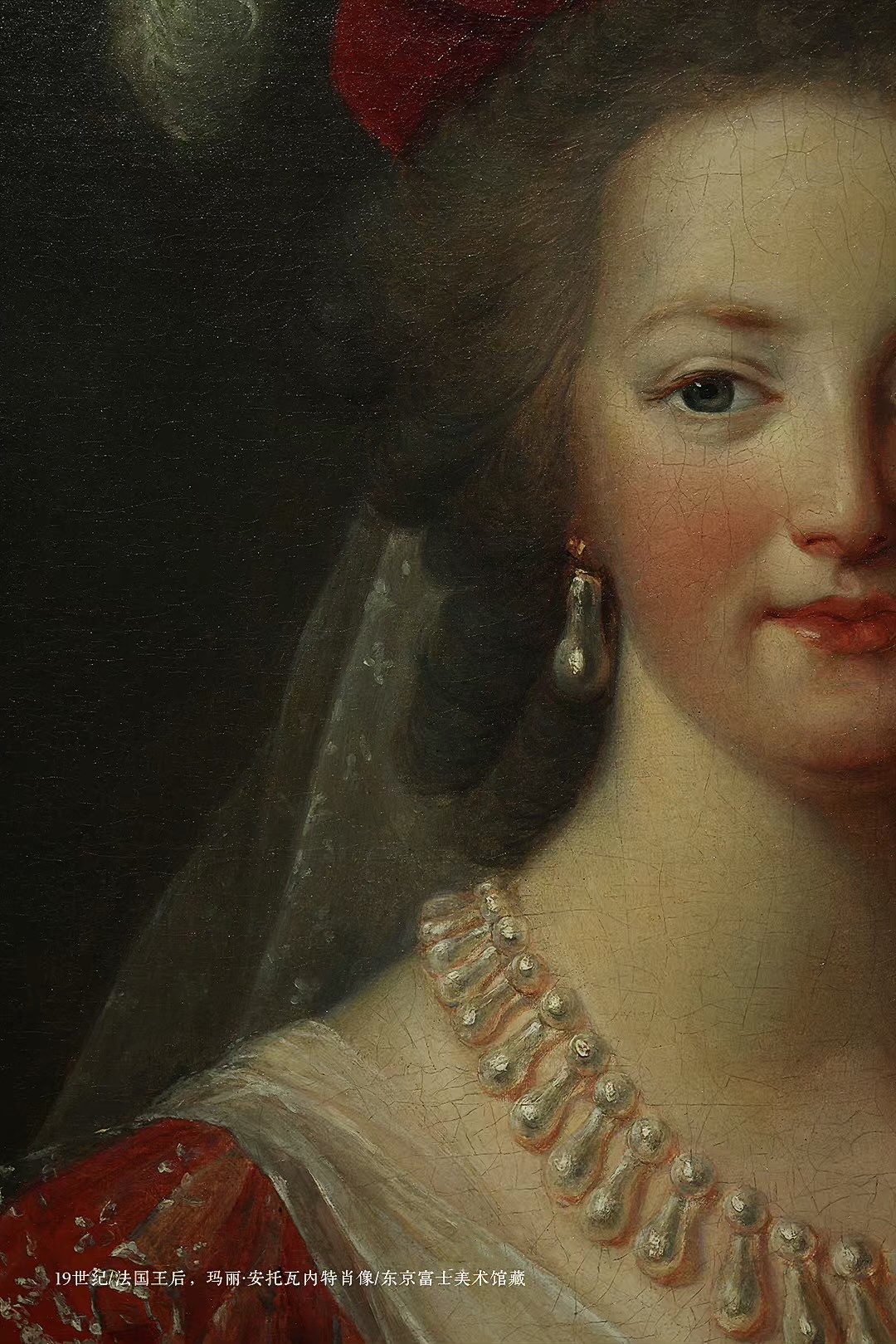 法国🇫🇷宫廷画像路易十六的王后👸