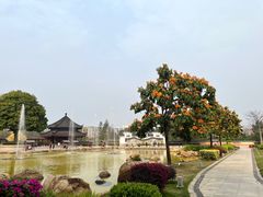 -广东圆玄道观