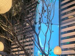 -桂满陇·海市蜃楼·黑金(国金店)