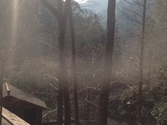 宁海森林温泉度假村-天明山温泉大酒店