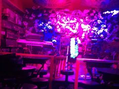 -周庄红庭演艺酒吧