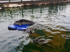 -华夏文旅海洋公园