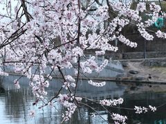 -安定门(地铁站)