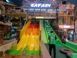 -卡通尼·Safari非洲探索乐园·生日会(金桥国际商业广场店)