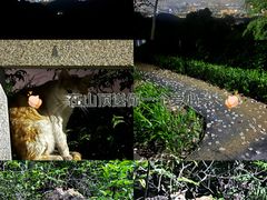 -广州市白云山风景名胜区