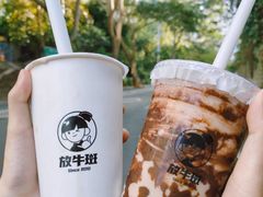 -放牛斑(中华城店)
