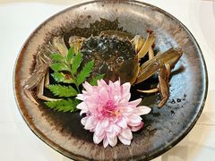 -鸢飞潍坊菜馆(鸢飞大酒店)