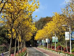 -悦来福·东山海鲜(莲花店)