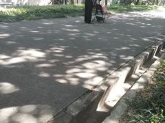 -广州雕塑公园
