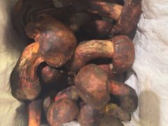 -缘生态云南菜·野生菌庭院餐厅(华侨城店)