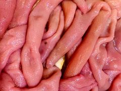 -旺角小渔村·海肠捞饭开创者(环山路店)