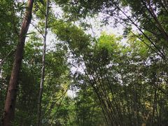 -广东外语外贸大学(白云山校区)