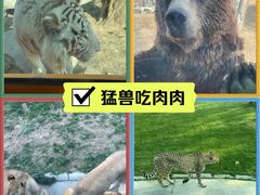 -北京野生动物园