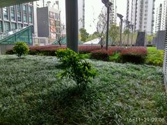 -陆家嘴世纪金融广场