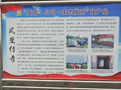 -栖凤渡鱼粉基地凤楚传奇