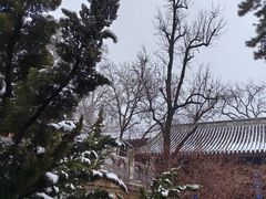 -潭柘寺景区