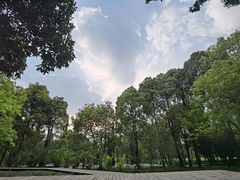 -金沙遗址博物馆