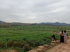 -光明小镇欢乐田园
