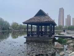 -前关湿地公园