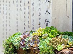 -寂照庵