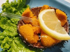 生吃海胆-海味当家·蒸锅海鲜(中山广场创始店)
