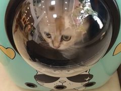 -宠颐生汉谟拉比宠物医院