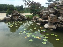 -呼吸森林·生态农庄农家乐私房菜