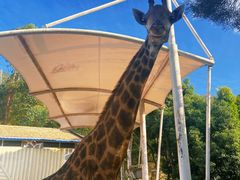 -泉州海丝野生动物世界