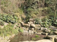 -杭州半山国家森林公园