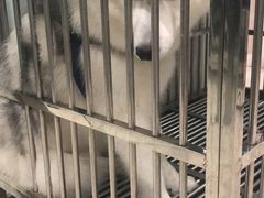 -米卢宠物公园(广华居店)