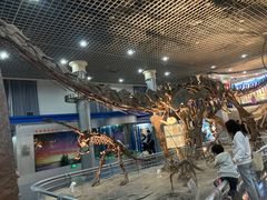 -国家自然博物馆