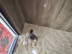 -后院犇牛主题餐厅(云岗店)